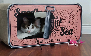 cat lounging inside the pink sardine cat bed