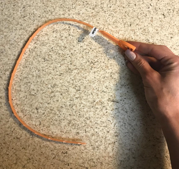 reviewers drain snake