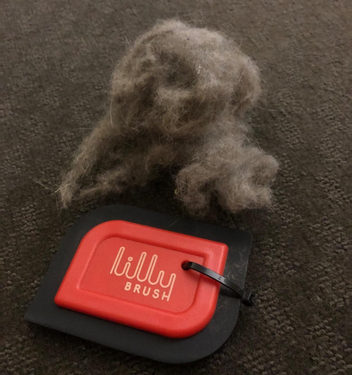 the small scraper with a huge clump of hair