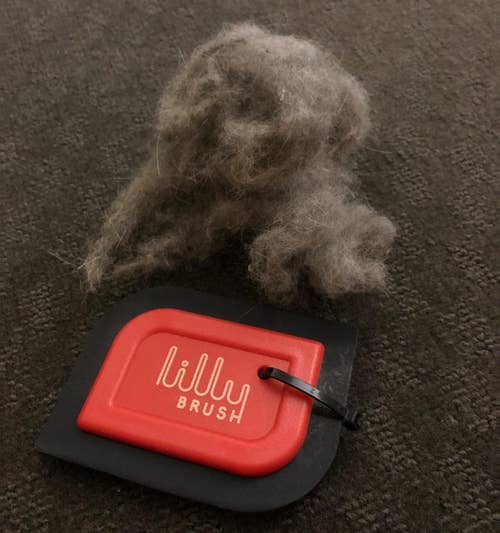 the small scraper with a huge clump of hair