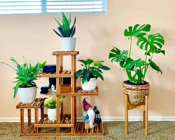 reviewer photo of multitiered wooden plant stand in a bedroom