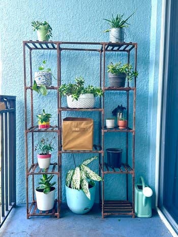 Wooden shelf with potted plants, a cardboard box, and a watering can, placed on a balcony