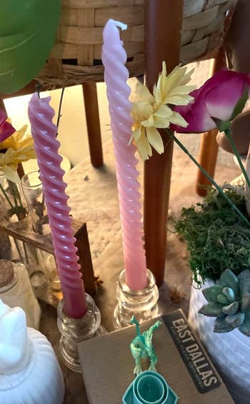 Two twisted candles successful  holders, surrounded by flowers, a succulent plant, and a 