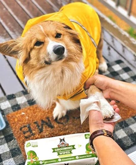 person wiping a dogs paw