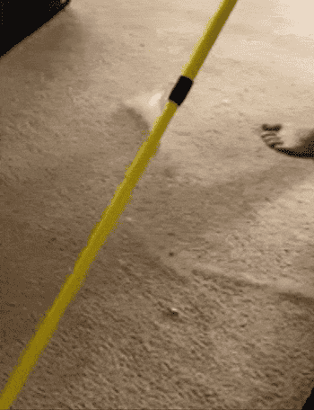 Reviewer gif of them using the broom on their carpet, picking up fur