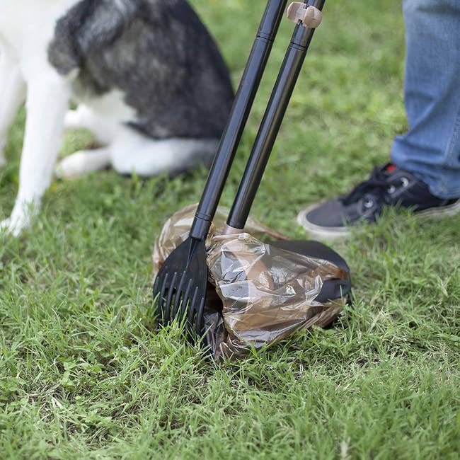 The pooper scooper, which has a rake and a garbage bin