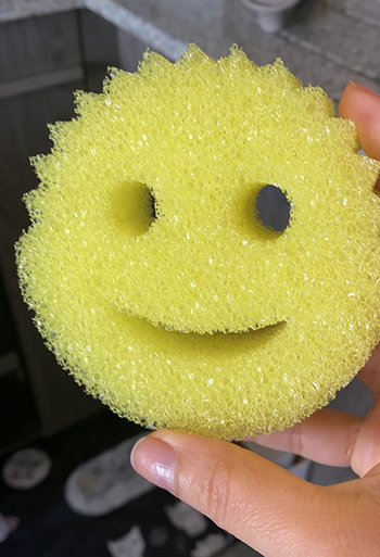 Scrub Daddy Dish Daddy Dish Wand Replacement Head Refill, Compatible with  Soap Dispensing Dish Brush, Texture Changing Washing Up Sponge With Liquid  Handle and Built-in Scraper - x2 Refill Heads: Buy Online