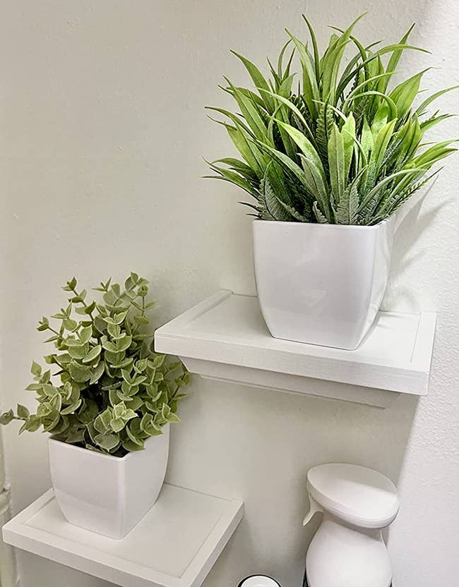 Reviewer image of two small fake plants in white pots on top of small white floating shelves on a white wall