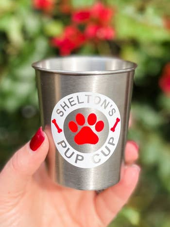 Hand holding a metallic pup cup with 