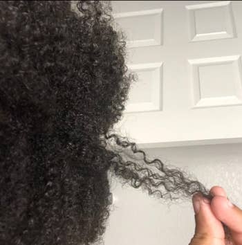 Reviewer with curly hairsbreadth holding a strand of it retired
