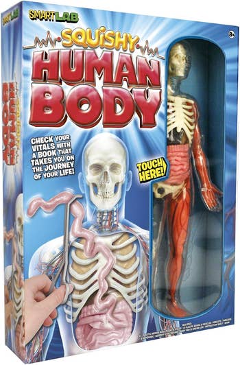 The human body toy in packaging