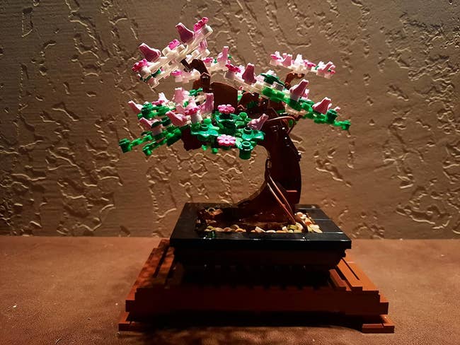 completed bonsai tree in pot with flowers