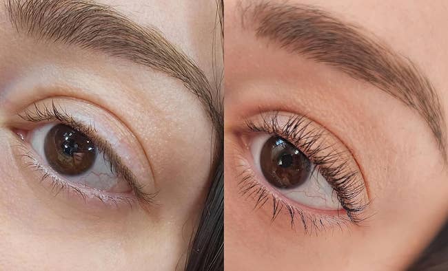 reviewer's lashes before and after using lash lift 