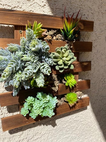 another reviewer's small trellis with succulents in it