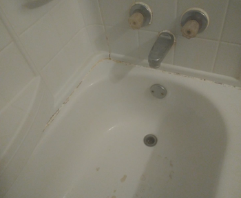 the same shower now looking cleaner after using wet and forget