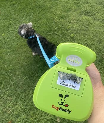 a reviewer holding the dog buddy with bags attached to their dog's leash