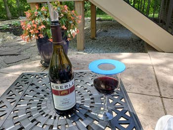 reviewer photo of the mesh disc on top of a glass of wine