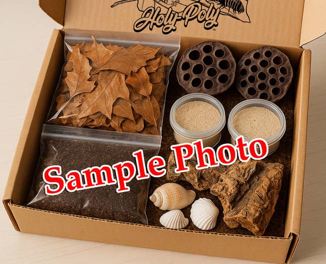 Post image 20