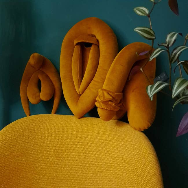 a cliterus, vulva, and penis pillow made with velvet