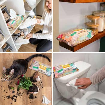 Collage of cleaning wipes utilized  to tidy shoes, cleanable  counters, hole  spilled works  soil, and sanitize a toilet vessel  top
