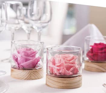 three of the roses in their glasses on a table