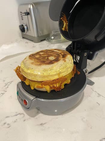 reviewer revealing their meal  sandwich portion    inactive  successful  maker