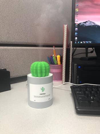 the small gray cactus humidifier at a reviewer's desk