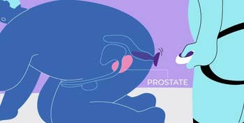 Illustration demonstrating use for prostate stimulation