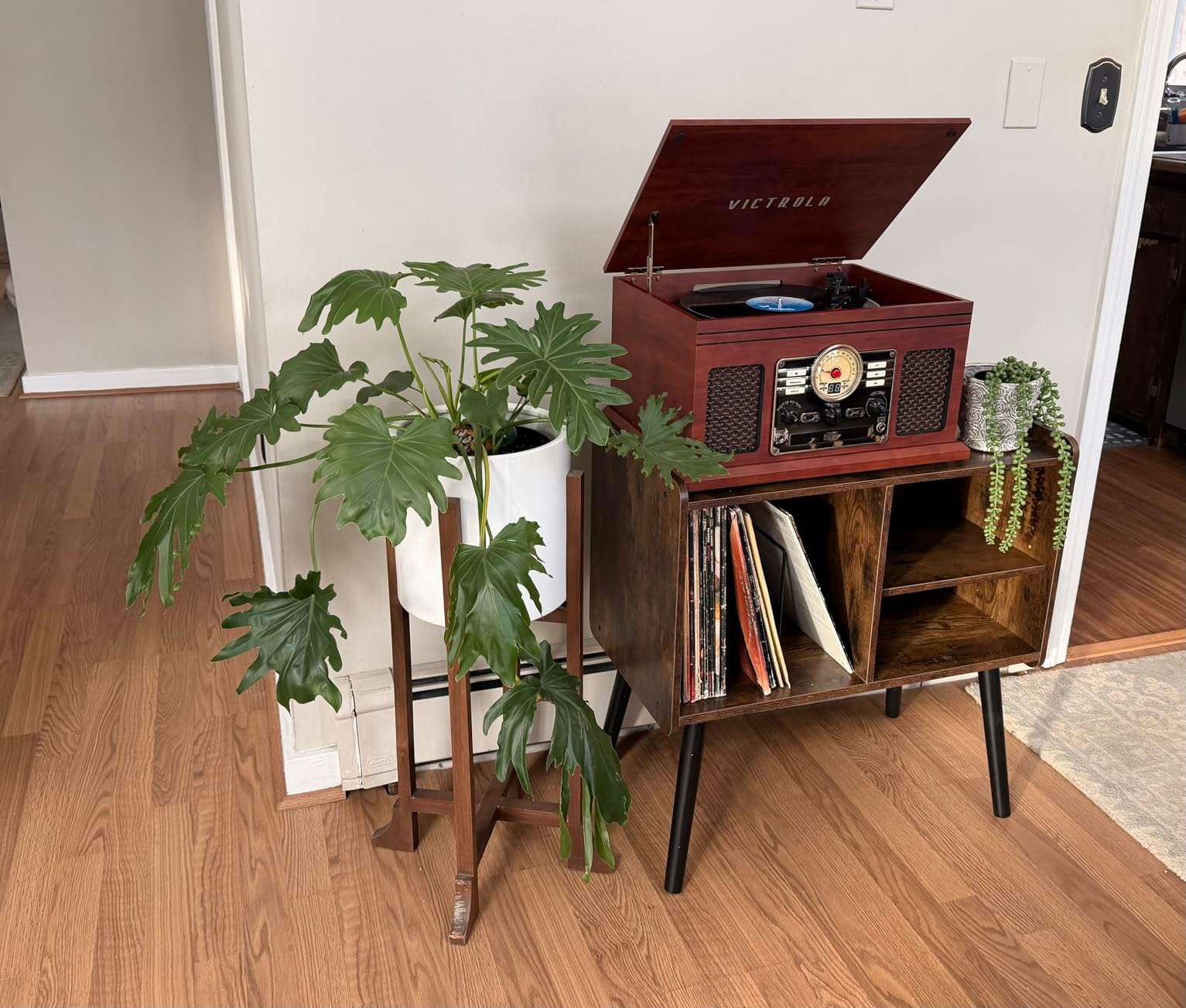A grounds   subordinate    connected  a vintage basal   with a leafy houseplant beside it, acceptable   connected  a woody  floor. Vinyl records are stored beneath  the player