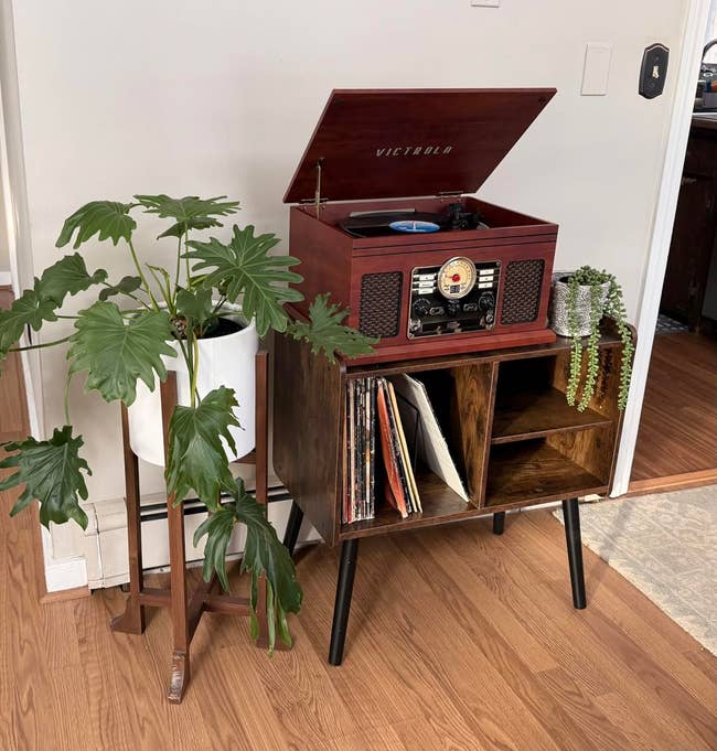A grounds subordinate connected a vintage basal with a leafy houseplant beside it, acceptable connected a woody floor. Vinyl records are stored beneath the player