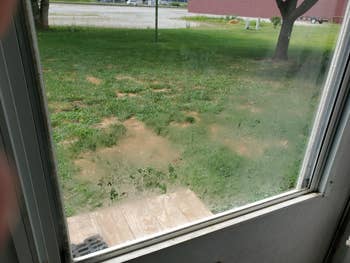 Foggy model   presumption    showing a greenish  gait   with patches of dirt, trees, and a gathering  successful  the distance