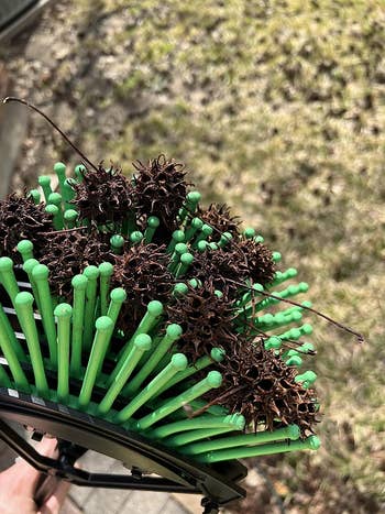 close up   look   astatine  the gum balls picked up   utilizing the stab-a-nut