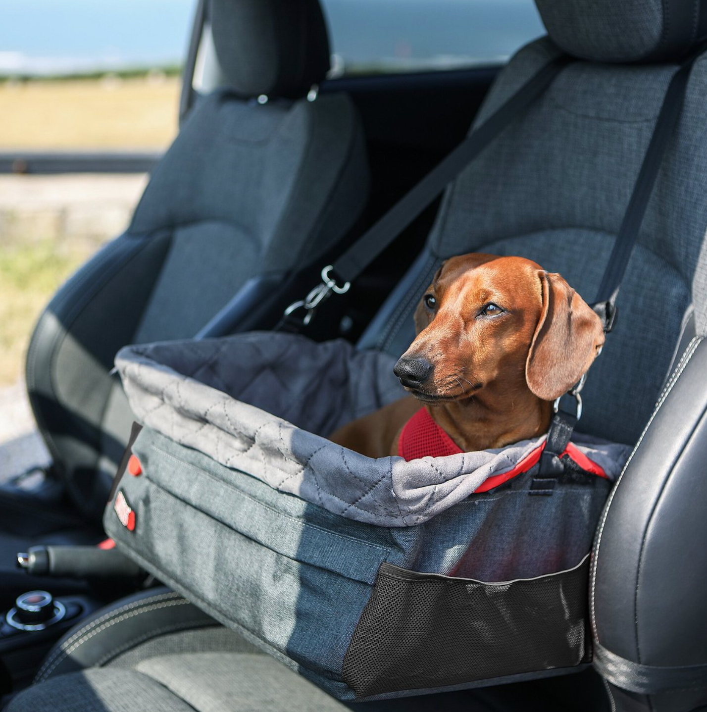 Gray rectangular dog car seat attached to seat with clipped straps around the headrest and dog laying inside of it 