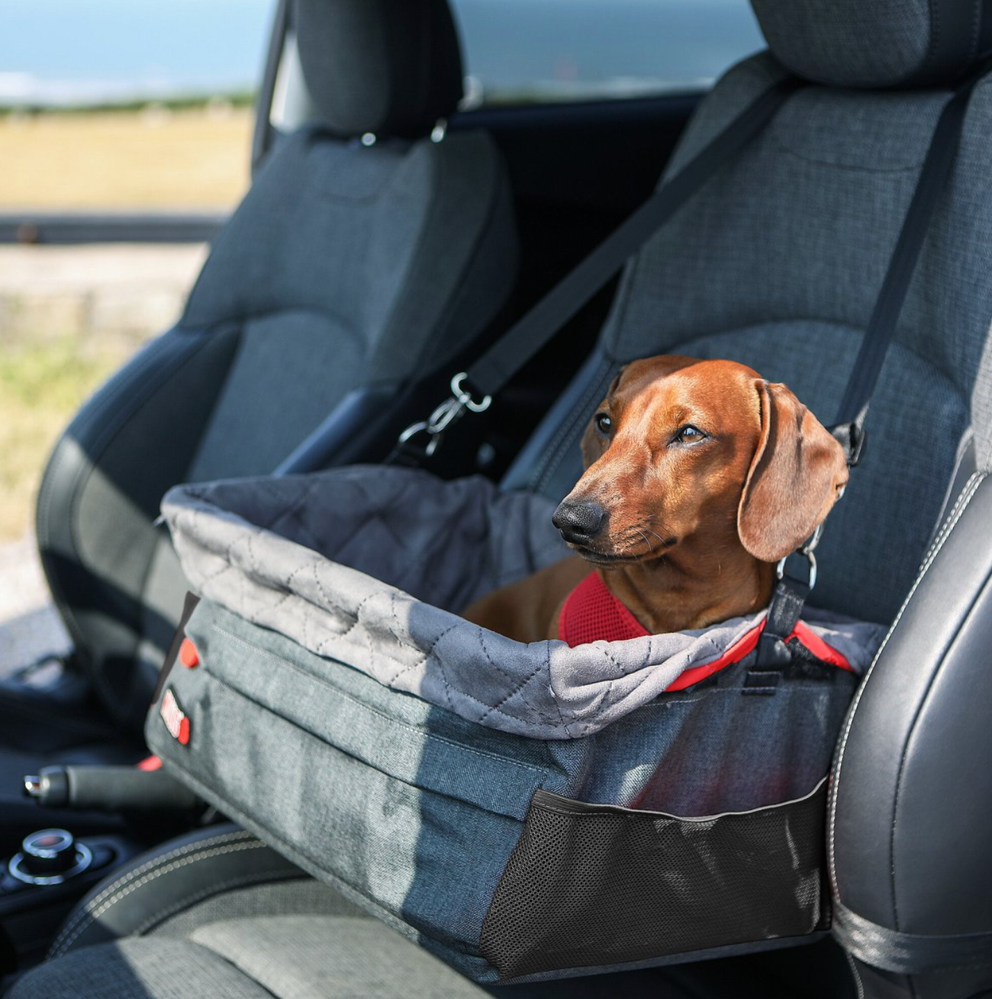 Travelling pooch booster on sale seat