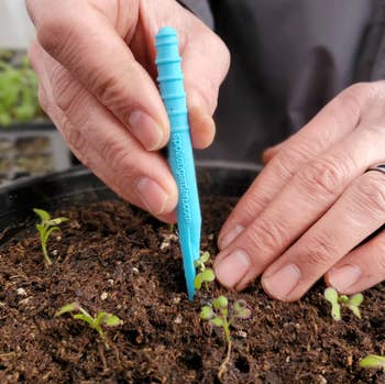 A person using the tool to dig out a seedling to transplant it