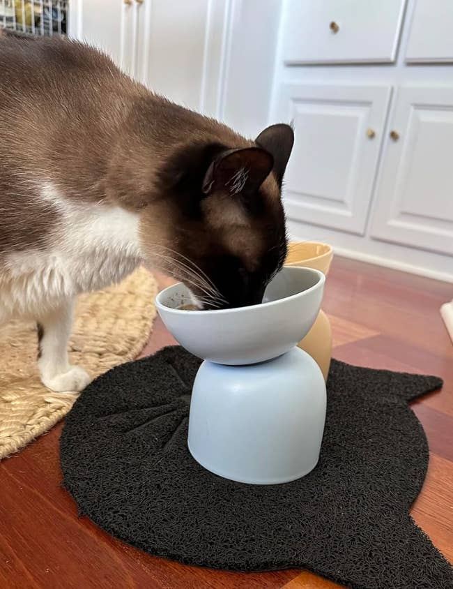 Cat eating from a raised bowl on a mat, with cabinets in the background