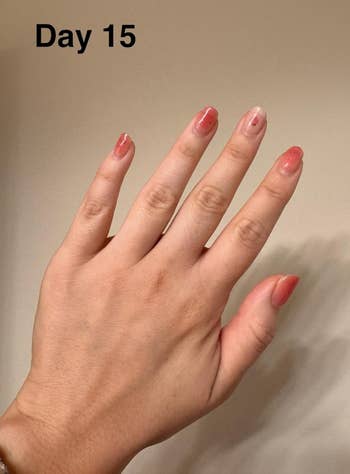 Hand with chipped nail polish connected Day 15, showing nail maturation and wear