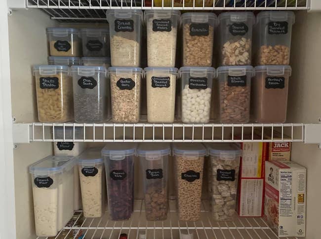 Pantry with neatly organized containers labeled with assorted grains, snacks, and baking ingredients connected achromatic ligament shelves