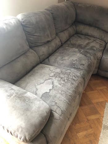 reviewer earlier  representation  of a grey  sofa  covered successful  acheronian  stains