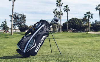 the golf clubs in a black carrying bag