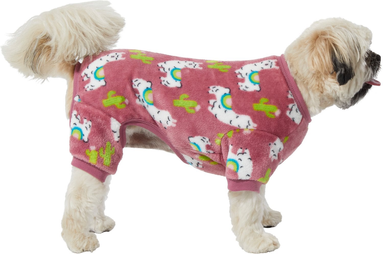 Dog wearing llama-covered PJs