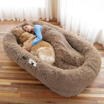 Person sleeping with a canine  connected  a cozy, ample  plush furniture  indoors, illustrating comfortableness  and relaxation for a buying  article