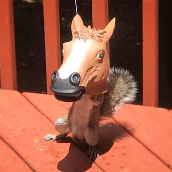  squirrel standing up and eating out of the reviewer's horse head feeder