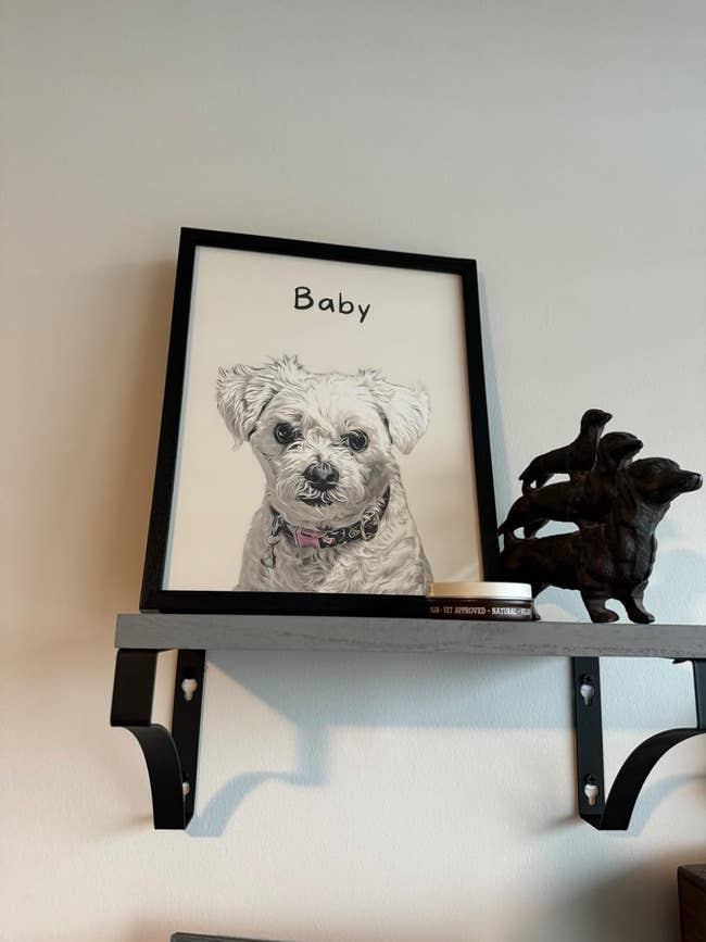 Framed portrait of a dog named Baby with a pink collar, displayed on a shelf beside a small statue of dogs