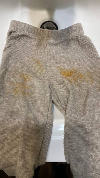 reviewer before image of a pair of gray sweatpants with dark brown stains