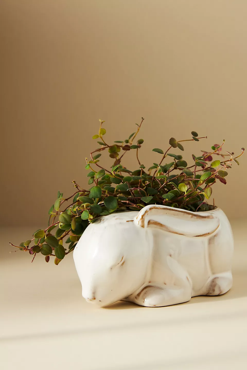 Ceramic planter with a unique sleeping bunny design, filled with a green trailing plant. Ideal for home decor