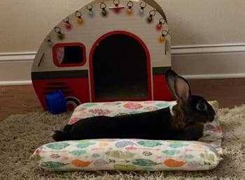 A rabbit stretched out on a patterned cushion 