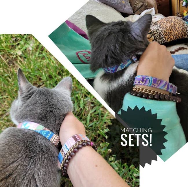 Person and cat wearing matching beaded bracelets with text 