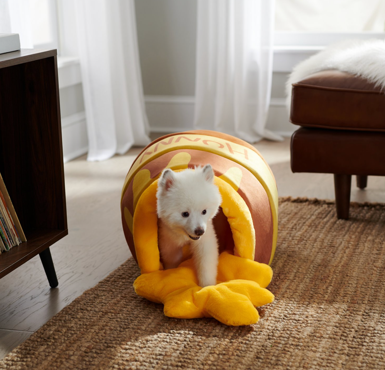 a dog in a honey pot bed