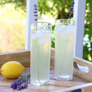 two glasses of lemonade with lavender springs sticking out